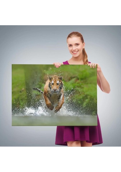 Koşan Kaplan Dekoratif Kanvas Tablo 1142 fırsatları