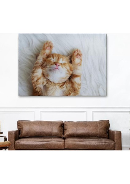 Yavru Kedi Dekoratif Kanvas Tablo 1125