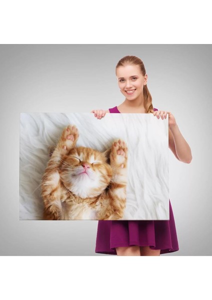 Yavru Kedi Dekoratif Kanvas Tablo 1125