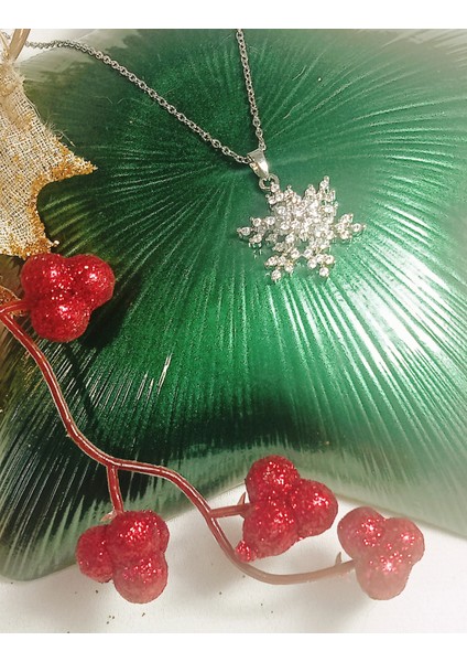 Kadın Çelik Kolye Dönen Kar Tanesi fiyatları