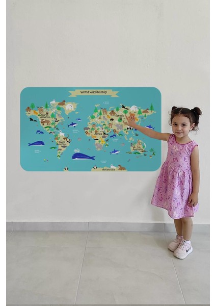 Eğitici Dünya Haritası Dünya Atlası Çocuk ve Bebek Odası Duvar STICKER -60X105-3829 fırsatları