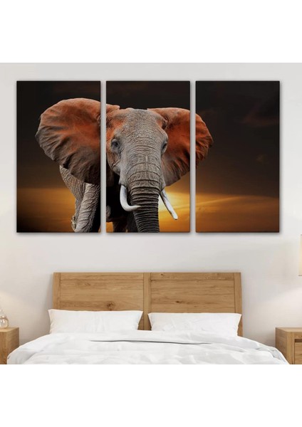 Fil Dekoratif Kanvas Tablo 1167 modelleri