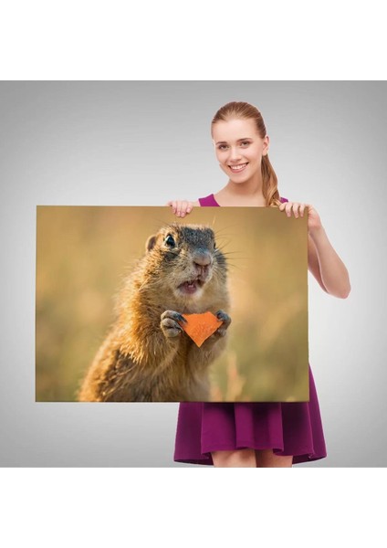 Şaşkın Sincap Dekoratif Kanvas Tablo 1158 fırsatları