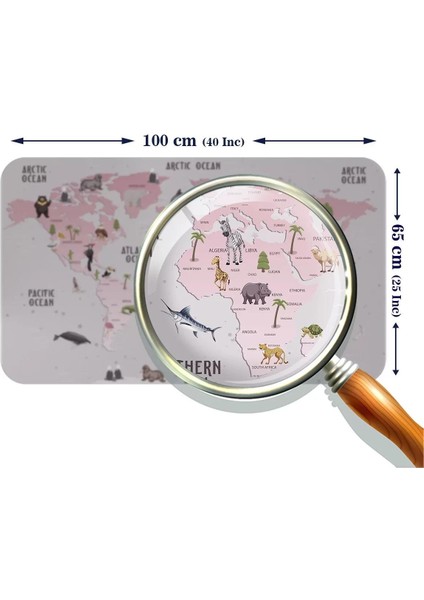 Eğitici Dünya Haritası Dünya Atlası Çocuk ve Bebek Odası Duvar STICKER-60X105-3798 modelleri