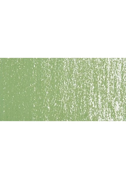 Soft Pastel Boya Permanent Green Light 618.3