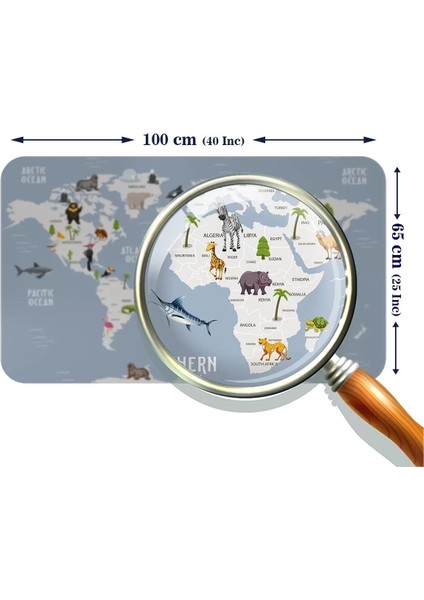 Eğitici Dünya Haritası Dünya Atlası Çocuk ve Bebek Odası Duvar STICKER-60X105-3789 modelleri