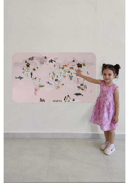 Eğitici Dünya Haritası Dünya Atlası Çocuk ve Bebek Odası Duvar STICKER-60X105-3795 fırsatları