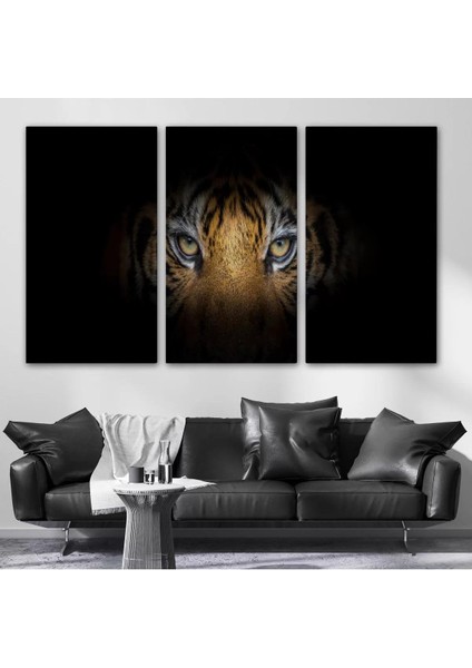 Kaplan Gözleri Dekoratif Kanvas Tablo 1161 modelleri