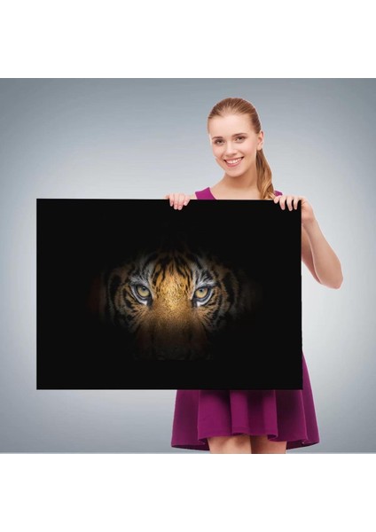 Kaplan Gözleri Dekoratif Kanvas Tablo 1161 fırsatları