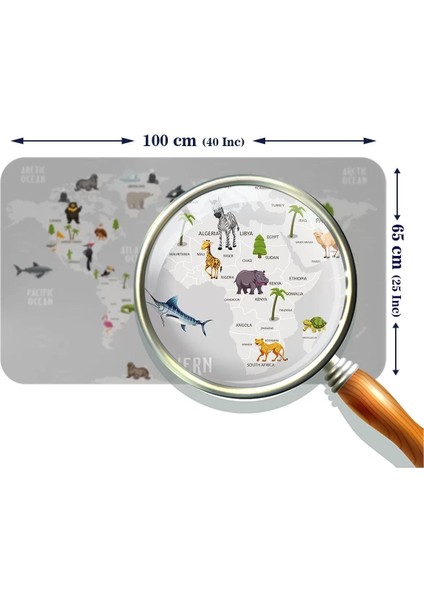Eğitici Dünya Haritası Dünya Atlası Çocuk ve Bebek Odası Duvar STICKER-60X105-3790