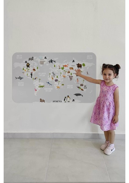 Eğitici Dünya Haritası Dünya Atlası Çocuk ve Bebek Odası Duvar STICKER-60X105-3790