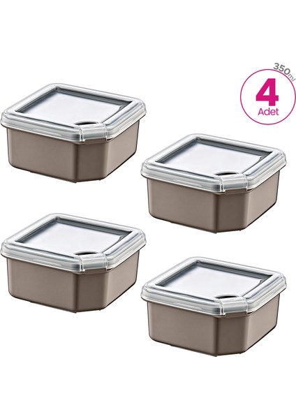 4'lü Q-Box Saklama Kabı Terra 350 ml
