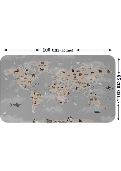 Eğitici Dünya Haritası Dünya Atlası Çocuk ve Bebek Odası Duvar STICKER-60X105-3793