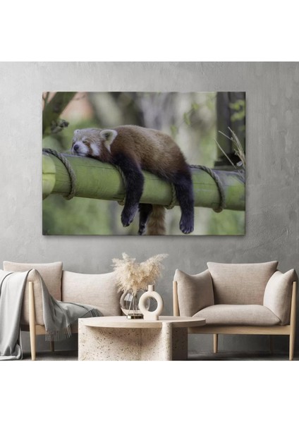 Kırmızı Panda Dekoratif Kanvas Tablo 1140 fiyatları