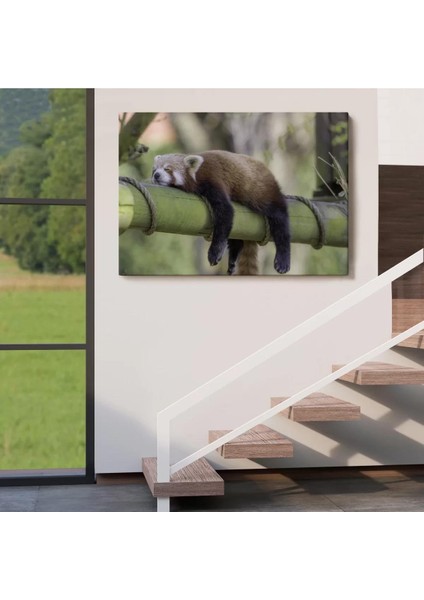 Kırmızı Panda Dekoratif Kanvas Tablo 1140 indirimleri