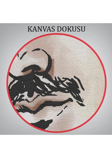 Nikola Tesla Dekoratif Kanvas TABLO-5917 indirimleri