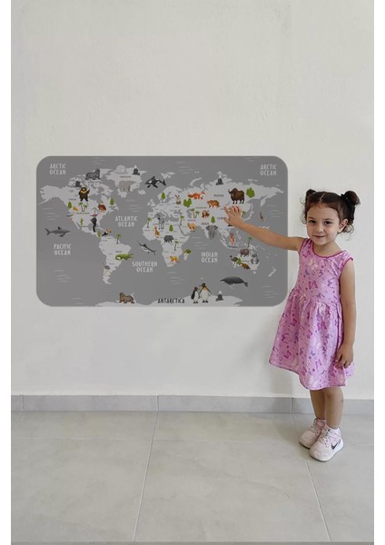 Eğitici Dünya Haritası Dünya Atlası Çocuk ve Bebek Odası Duvar STICKER-60X105-3794 fırsatları