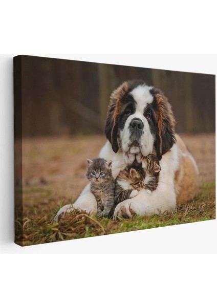 St. Bernard Köpek ve Yavru Kediler Dekoratif Kanvas Tablo 1124
