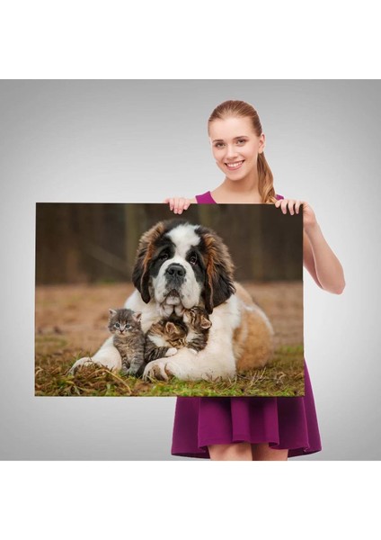 St. Bernard Köpek ve Yavru Kediler Dekoratif Kanvas Tablo 1124