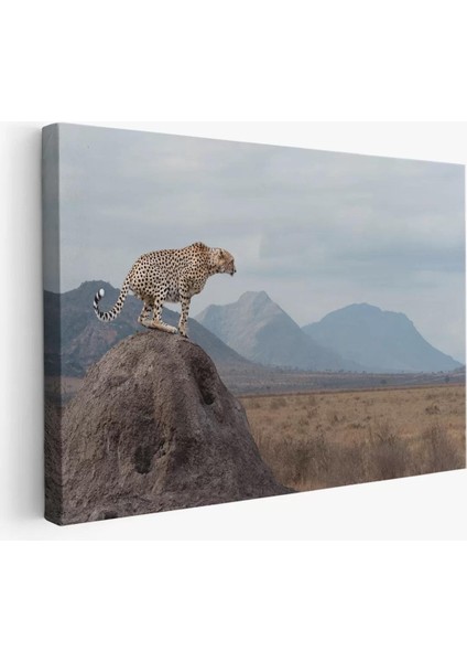 Leopar Dekoratif Kanvas Tablo -1127
