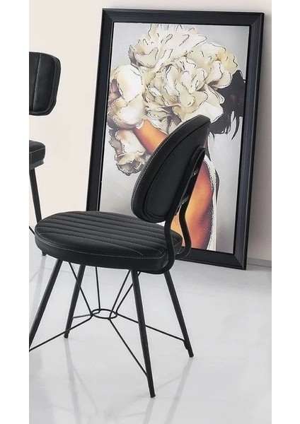 Ahtapot Paslanmaz Metal Ayaklı Salon Balkon ve Mutfak Sandalyesi 4 Adet