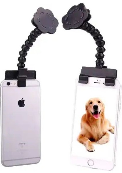 Ödül Maması Tutacağı , Kedi Köpek Selfie Çubuğu