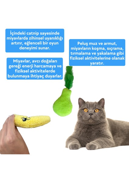 Kedi Oyuncak Seti Kedi Otlu Catnipli Peluş Muz ve Peluş Armut Kedi Oyuncakları indirimleri
