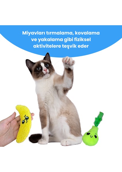 Kedi Oyuncak Seti Kedi Otlu Catnipli Peluş Muz ve Peluş Armut Kedi Oyuncakları