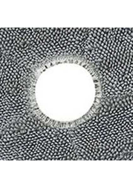 X9 Pro Robot Süpürge Için Paspas Bezi Yedek Parçalar Süpürme Aksesuarları (Yurt Dışından) indirimleri