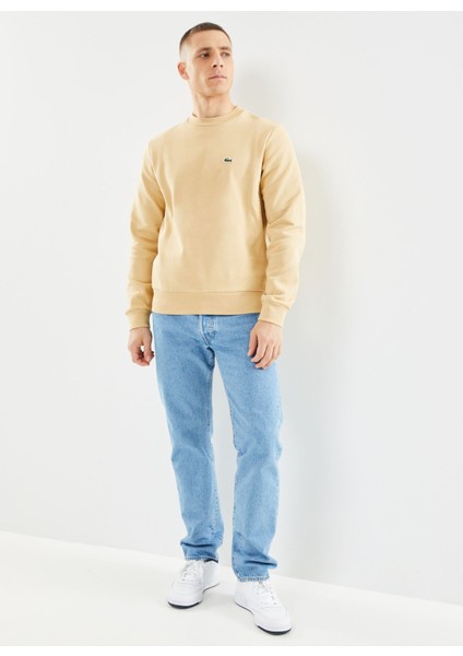 Erkek Bej Bisiklet Yaka Klasik Fit Sweatshirt indirimleri