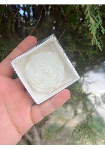 Aralmini 20 Adet Özel Mini Şakayık Mum Davet Nikah Söz Niş fiyatları