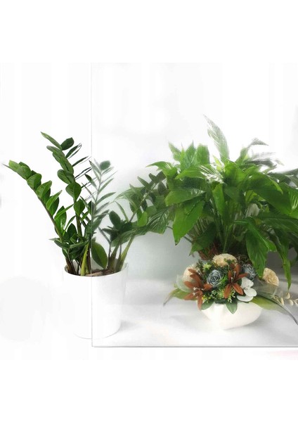176-5011 Kendinden Yapışkanlı Şeffaf Transparan Folyo ( 90 cm x 1 mt )