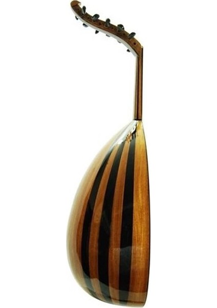 Ceviz Ağacı Öğrenci Ud fiyatları