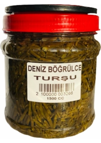 Deniz Böğrülcesi Turşusu 1500 cc