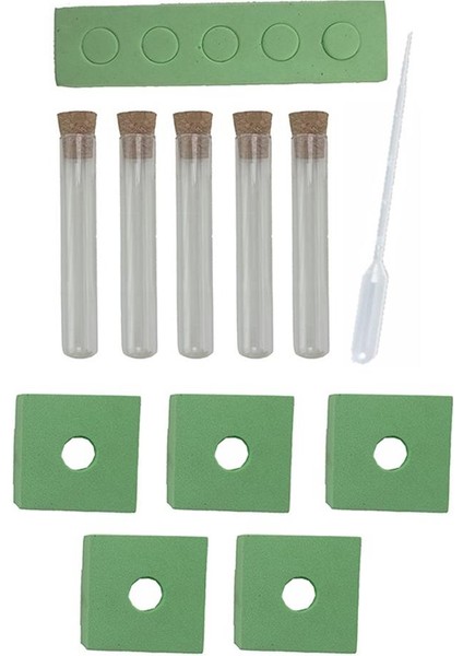 Çimlenme Deney Seti 1 Paket Kontrollü Çimlenme Deney Seti 5 Adet Deney Tüpü Tıpa Deney Tüp Standı Tohum fiyatları