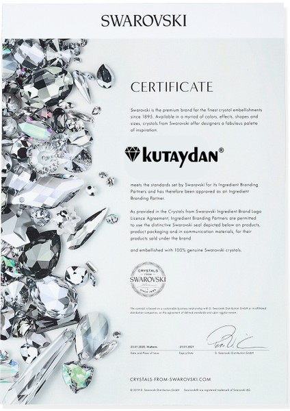 Swr Zirconia Şans Gözü Kadın Gümüş Kolye