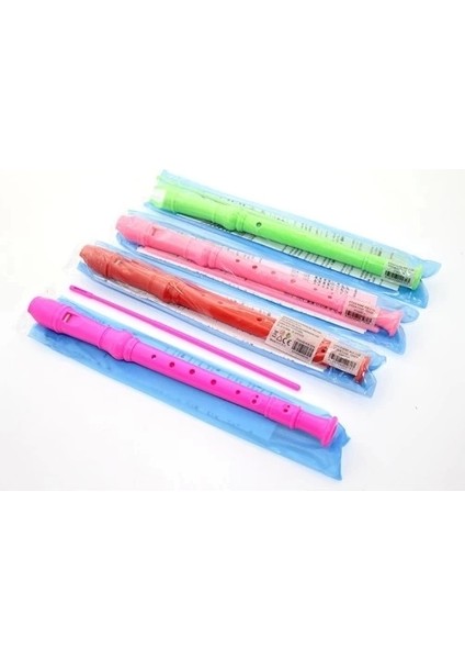 Renkli Plastik Flüt