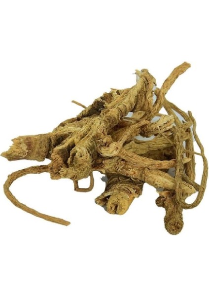 Melek Otu 100 gr