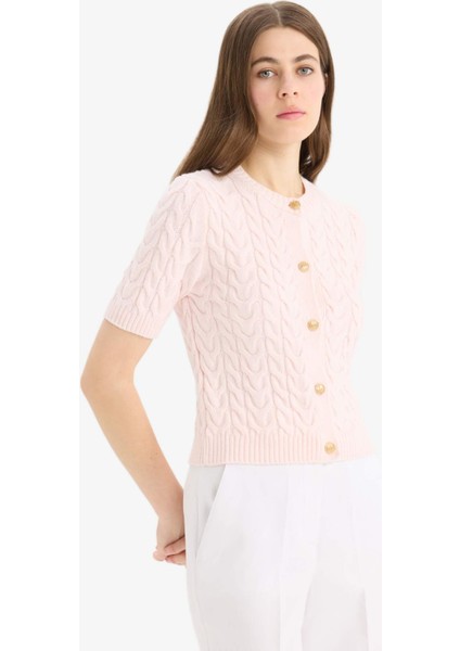 Regular Fit Bisiklet Yaka Triko Kısa Kollu Hırka E6882AX25SM modelleri