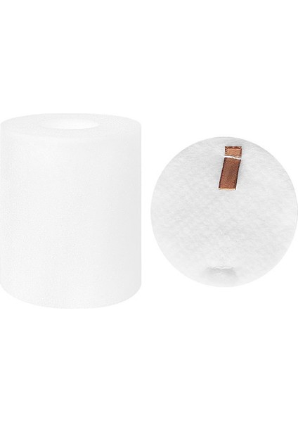 AV2501AE/AV2502AE Için Ana Fırça Filtresi Pamuk Filtre (Yurt Dışından)