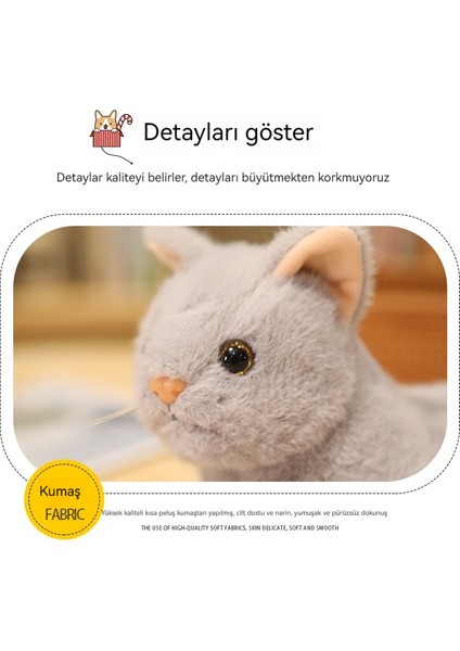 30CM Kedi Bebek Uzanmış Yavru Kedi Bebek (Yurt Dışından)