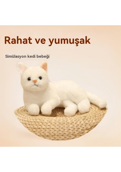 30CM Kedi Bebek Uzanmış Yavru Kedi Bebek (Yurt Dışından)