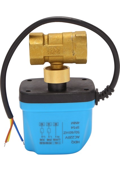 2 Yollu Bölge Vanası Iki Yollu Vana Motorlu Küresel Vana Elektrikli Elektrikli Vana Ters Küresel Vana 220V DN20 (G3 / 4 Inç) Ters Vana (Yurt Dışından)
