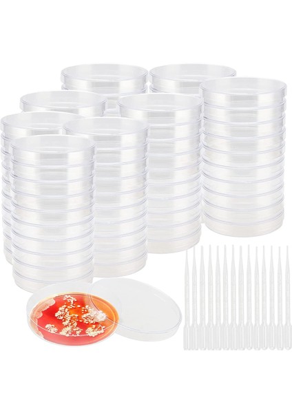 80 Paket 90MM Plastik Kapaklı, Şeffaf Steril Tabak, 200 Plastik Transfer Pipetli Tabaklar(3ml) (Yurt Dışından)