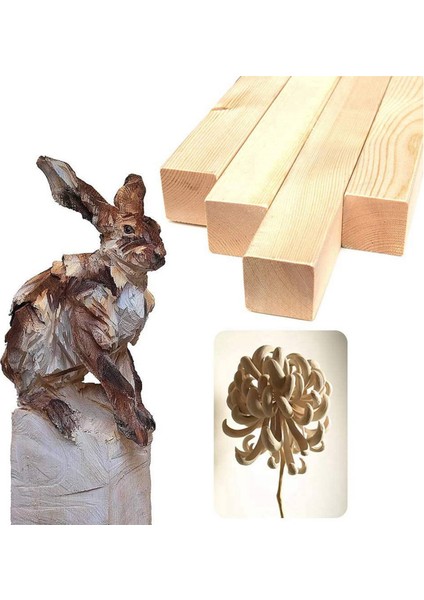 12 Adet Ihlamur Ağacı Oyma Blokları Ahşap Yeni Başlayanlar Için Oyma Hobi Kiti Dıy Oyma Ahşap (Yurt Dışından) indirimleri