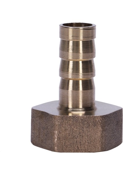 Altın Pirinç Bağlantı Elemanı 10MM Hortum Dikeni 1/2 "npt Dişi Konu Düz Konnektör (Yurt Dışından)