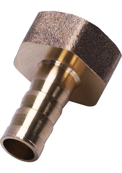 Altın Pirinç Bağlantı Elemanı 10MM Hortum Dikeni 1/2 "npt Dişi Konu Düz Konnektör (Yurt Dışından)
