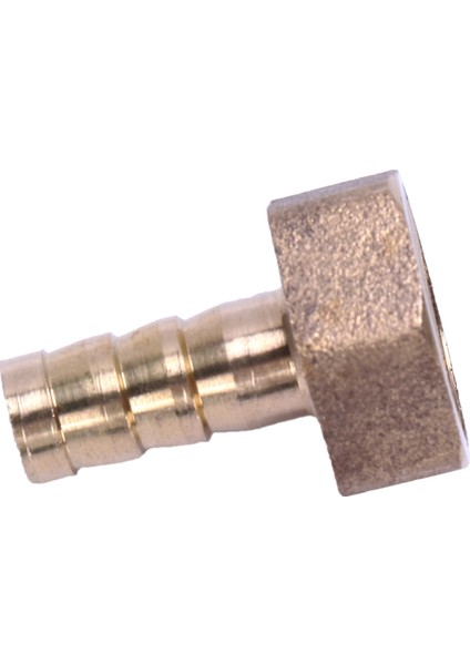 Altın Pirinç Bağlantı Elemanı 10MM Hortum Dikeni 1/2 "npt Dişi Konu Düz Konnektör (Yurt Dışından)