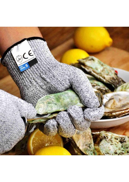 1 Set 5 Kesilmeye Dalı Tel Eldiven Mutfak Ağaç Işleme Cam Kesilmeye Dalı Bıçaklanmaya Dalı Eldiven M (Yurt Dışından) indirimleri
