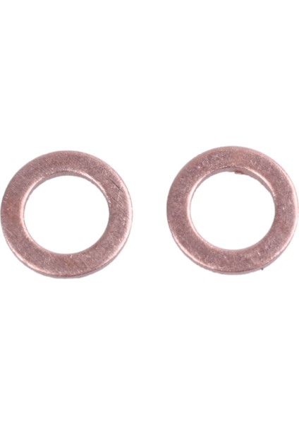 100 Adet Bakır Ezme Yıkayıcı Düz Conta Halkası Bağlantısı 6mm x 10MM x 1mm (Yurt Dışından)